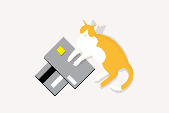 A colorful graphic shows a yellow-and-white cat lying relaxed on a gray credit card with a magnetic stripe. The scene symbolizes coziness and modern everyday finances.